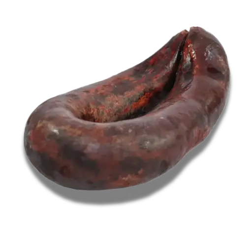 [097] Morcilla
